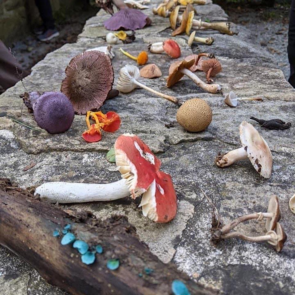 Cordage Making with Nick Spero - Fox Haven Organic Farm